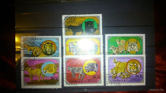 Монголия.1979.Дикие кошки.Серия 7 м.