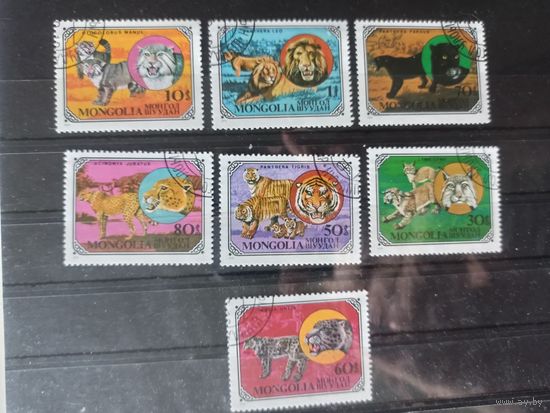 Монголия.1979.Дикие кошки.Серия 7 м.