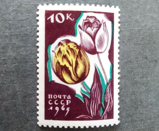 Марка СССР 1965 год Цветы
