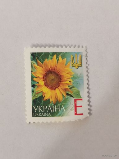 Марка шестого стандартного выпуска 2004 года - Подсолнечник однолетний (Helianthus annuus) поврежден уголок
