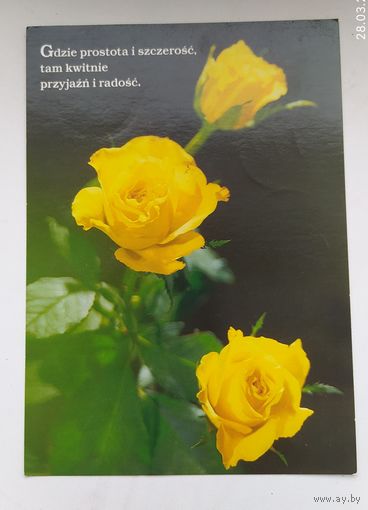 Открытка 2