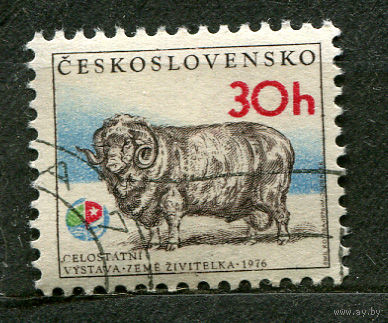 Фауна. Овца. Чехословакия. 1976