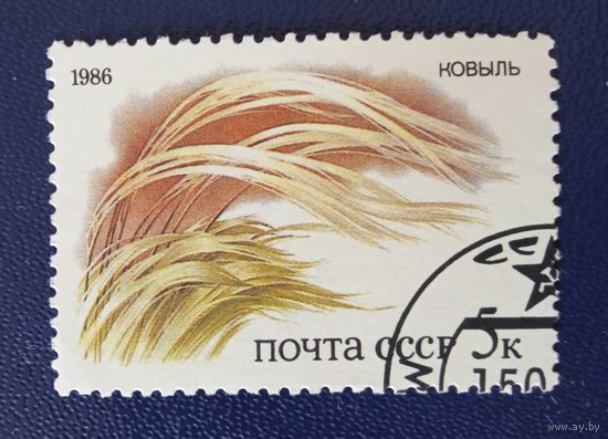 Ссср