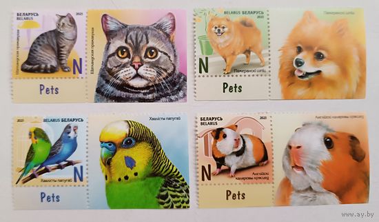 Домашние питомцы. Полная серия с купонами, 2025