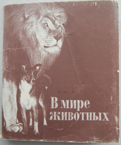 Открытки СССР. Набор 17 шт. В мире животных.
