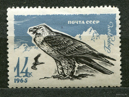 Хищные птицы. Бородач. 1965. Чистая