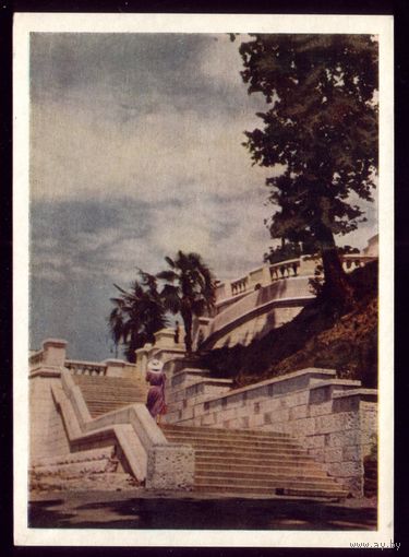1953 год Сочи