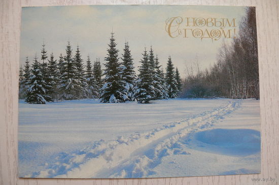 Самсоненко Н., С Новым годом! 1983, подписана.