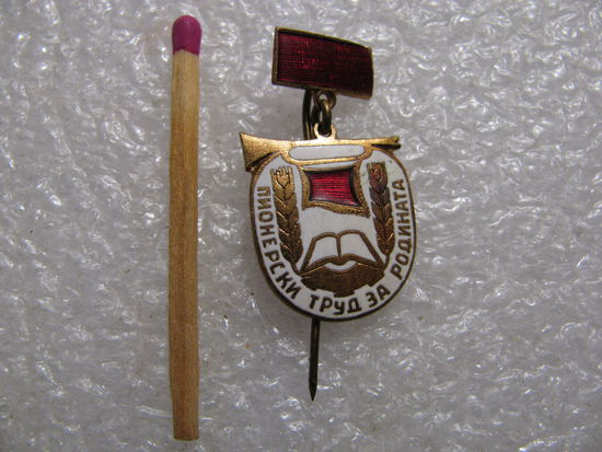 Знак БНР. Пионерский труд за Родину. тяжёлый