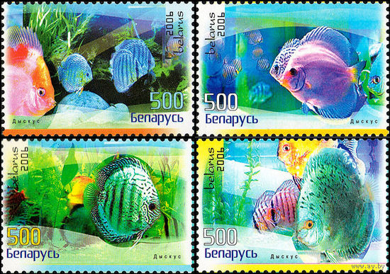 Аквариумные рыбы Беларусь 2006 год (677-680) серия из 4-х марок