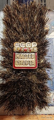 Знак Мастер спорта СССР. Оригинальный.