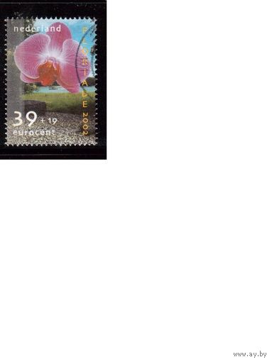 Нидерланды-2002(Мих.1998) ,  гаш. , Флора, Цветы