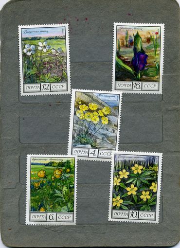 СССР, 1975,  ФЛОРА СССР ,  серия, 5м  чистая