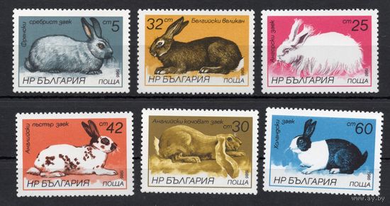 Болгария 1986. Фауна кролики 6 марок (3447)