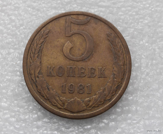5 копеек 1981 СССР #04
