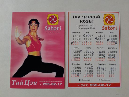 Карманный календарик.2003 год