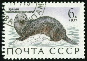 Морские млекопитающие Фауна СССР 1971 год 1 марка