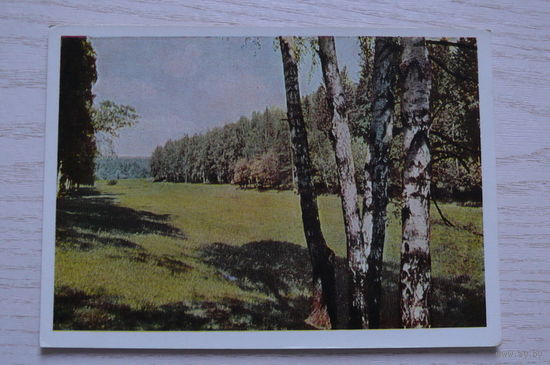 Ясная Поляна; 1963; чистая.