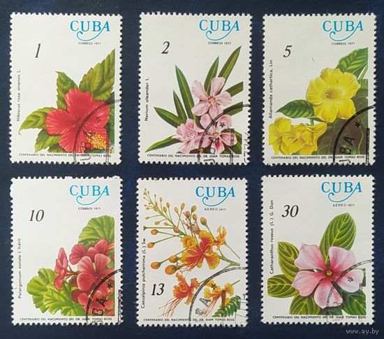 Куба 1977 цветы