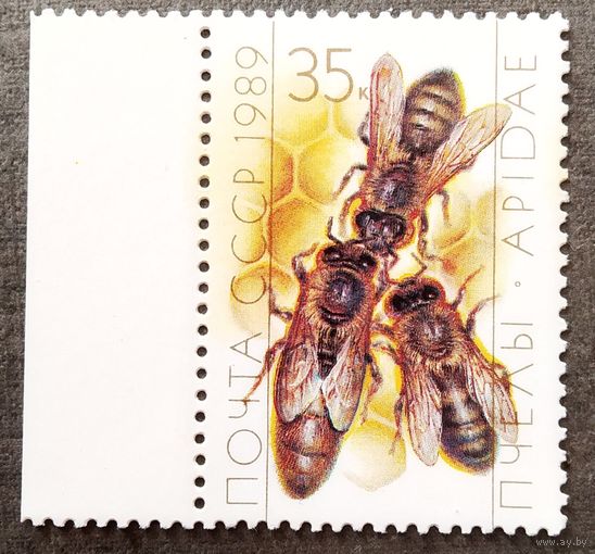 Марка СССР 1989 год Пчелы