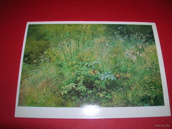 Шишкин Травки чистая