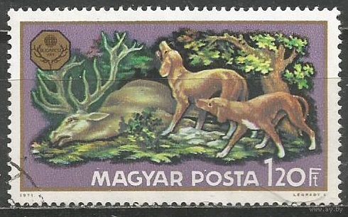 Венгрия. Всемирная охотничья выставка. 1971г. Mi#2668.