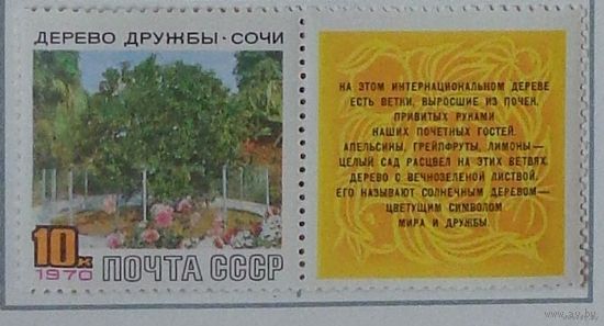 1970, март. Дерево Дружбы в Сочи