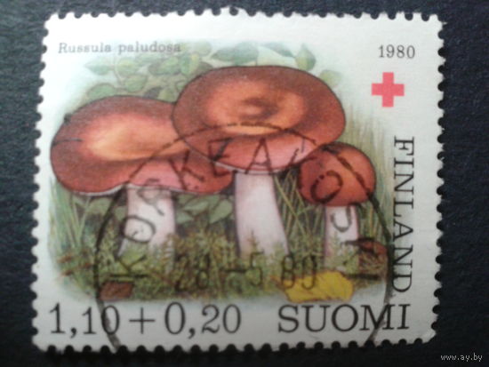 Финляндия 1980 грибы