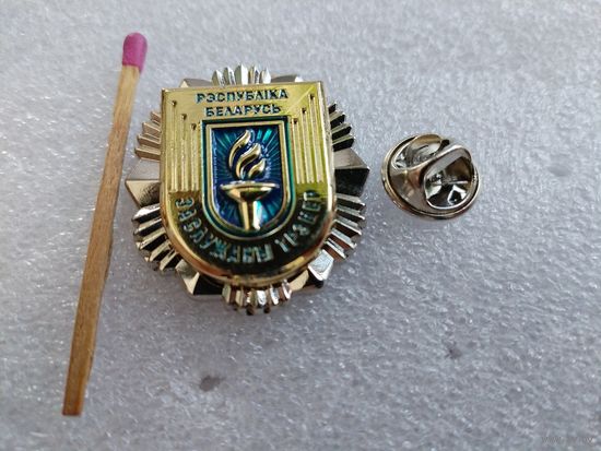 Знак. Заслуженный тренер Республики Беларусь. тяжёлый, цанга