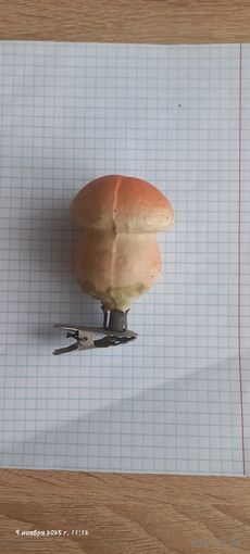 Гриб на прищепке