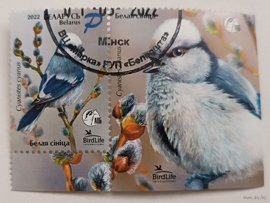 Птица года. Белая синица. Полная серия с купоном, 2022