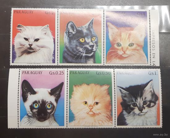 Парагвай. Фауна. Кошки (770)