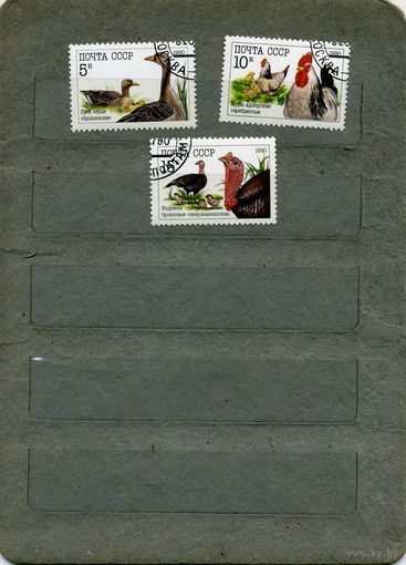 СССР, 1990, ДОМАШНИЕ ПТИЦЫ, серия 3м, ( на "СКАНЕ" справочно приведены номера и цены по ЗАГОРСКОМУ)