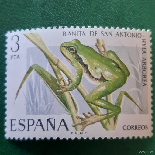 Испания. Фауна. Лягушки. Hyla Arborea