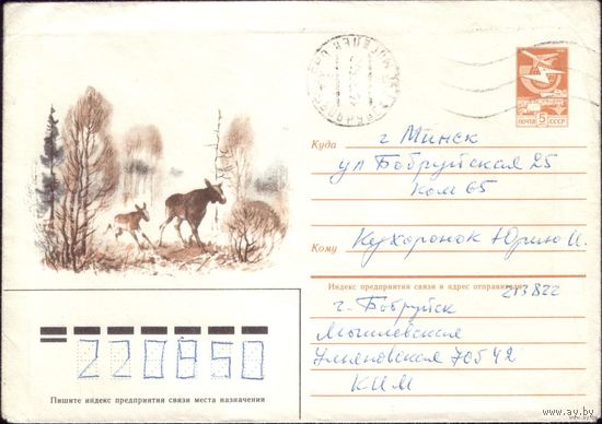 1985 год С.Куприянов Лоси на поляне 85-12