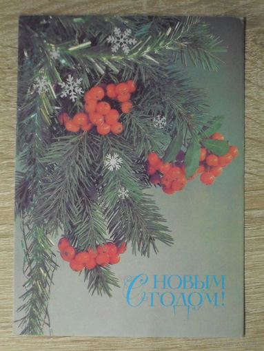 ПОДПИСАННАЯ ОТКРЫТКА СССР. "С НОВЫМ ГОДОМ". фото. И. ДЕРГИЛЕВА. 1987 год.