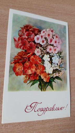 Открытка. Поздравляю.1978 год
