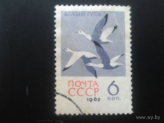 СССР 1962 белый гусь