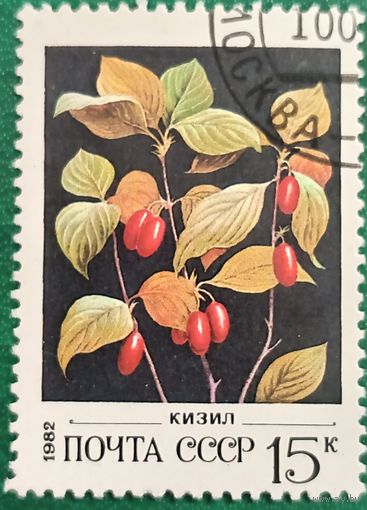 СССР 1982. Флора. Кизил