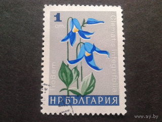 Болгария 1966 цветы