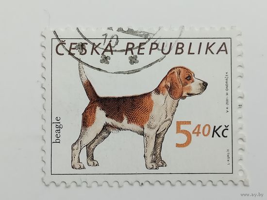 Чехия 2001. Собаки