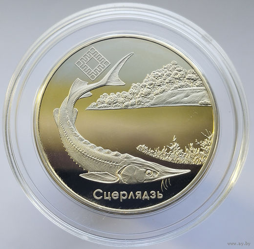 Стерлядь. Заказник "Днепро - Сожский", 1 рубль 2007