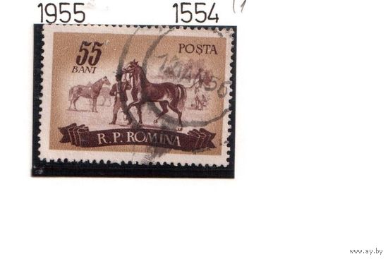 Румыния-1955,(Мих.1554)  гаш.  , Лошади
