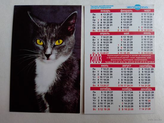 Карманный календарик 2003 год. Котик