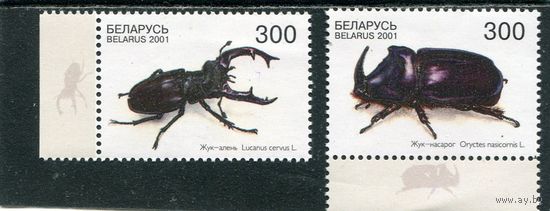 Беларусь 2001. Жуки