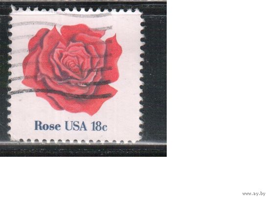 США-1981, (Мих.1459) ,  гаш. , Флора Цветы, Роза