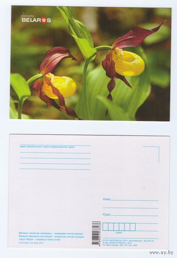 Беларусь. 2019. Планета Беларусь (87-1/2)
