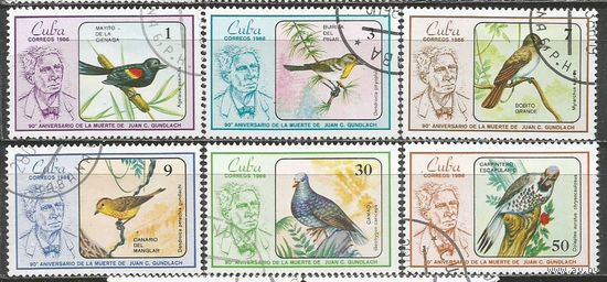 Куба. Тропические птицы. 1986г. Mi#2996-01. Серия.