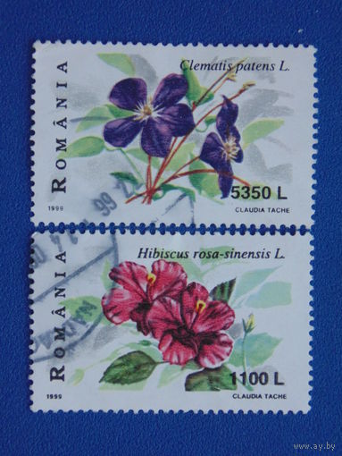 Румыния 1999 г. Цветы.