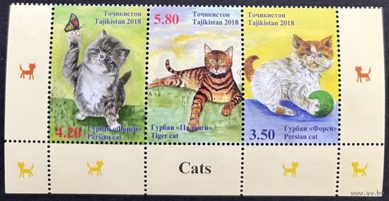Таджикистан 2018 Фауна Кошки
